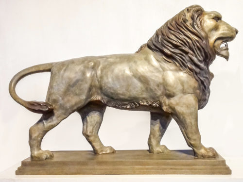 Anatomical study of a lion - bronze 48 cm h x 68 cm w x 18 cm d