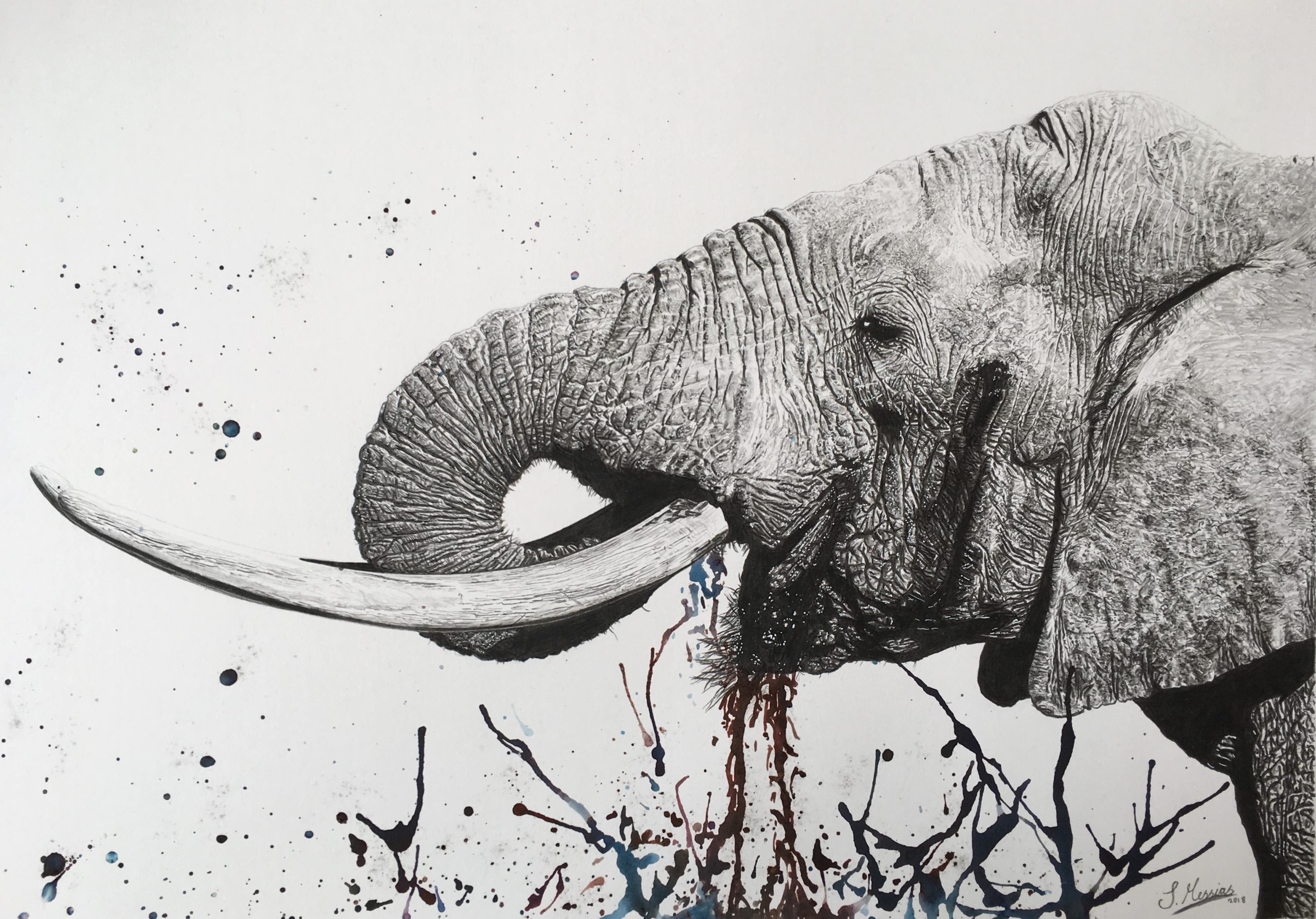 Elephant ‘into the wild’ collection pencil charcoal and brusho powder paint with water 2018